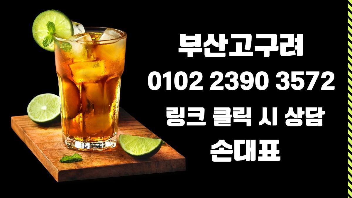 부산고구려 손대표 010-2390-3572 해운대고구려 예약 디시 40페이 후기 대표 이미지