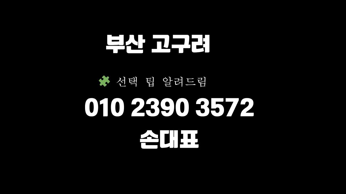 부산고구려 손대표 010-2390-3572 대표 이미지 – 해운대고구려 후기 40페이 구인 SEO 최적화